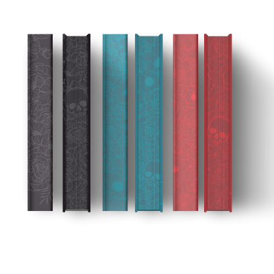 Series Bundle: Temple Maze (Hardcovers)