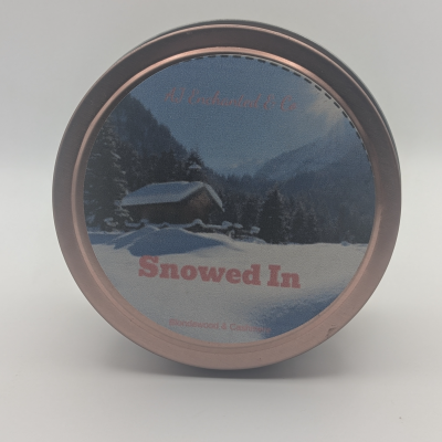Snowed In