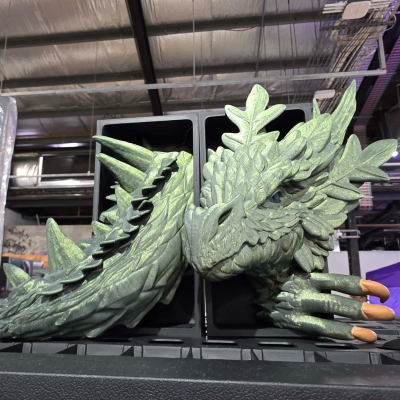 Forest Dragon Book Nook
