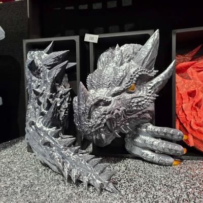 Emerging Dragon Book Nook