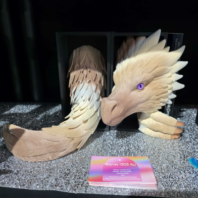 Wind Dragon Book Nook