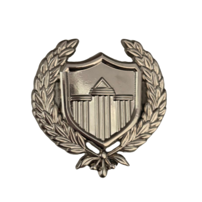 Organization Insignia Pin