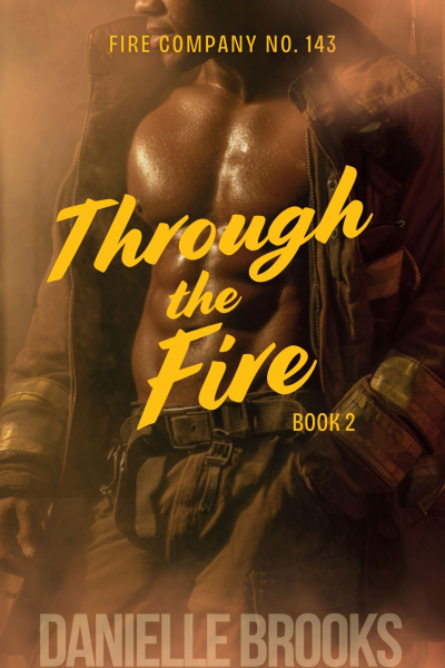 Through The Fire cover