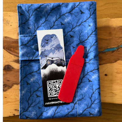 Finding Grace Book Sleeve