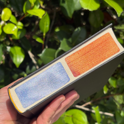 Pre-Sale / Metallic Solid Painted Edge