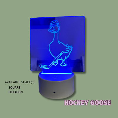 LED Bookshelf Lights - Sports Edition