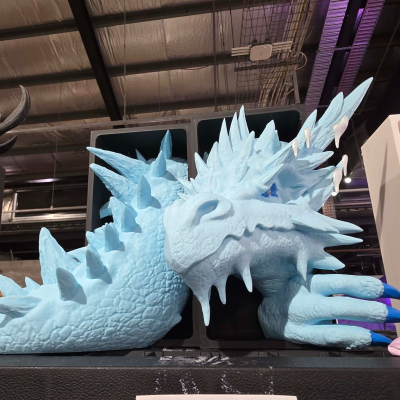 Ice Dragon Book Nook