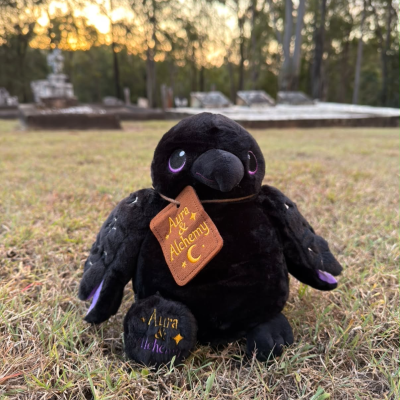 THE RAVEN PLUSHIE