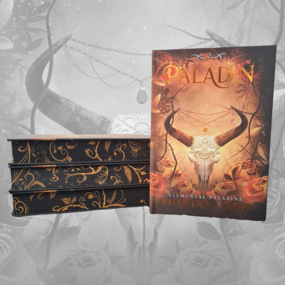Paladin Hardback
