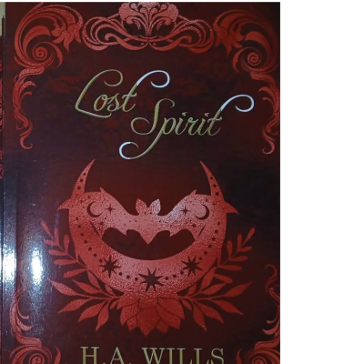 Spirit Bundle books 1-4 (2-3 misprint covers)