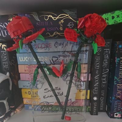 Acrylic Book Vases