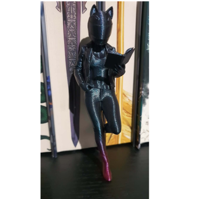 Motorcycle Book Girlfriend 3D figure