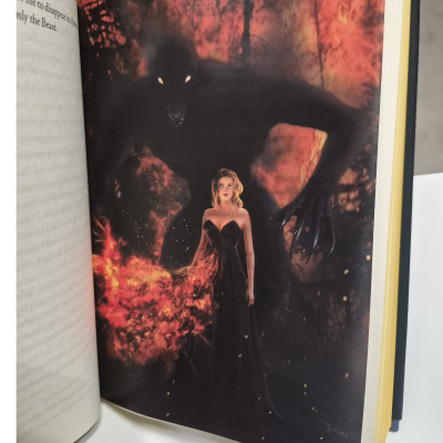Custom Vellum art and swag