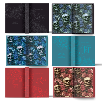 Series Bundle: Temple Maze (Hardcovers)