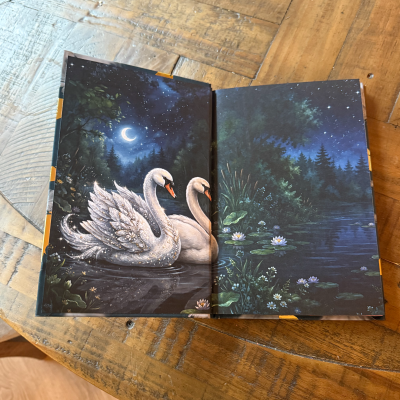The Duality of Swans