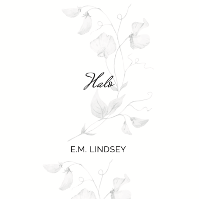 Beginning of Always Exclusive Illustrated Paperback Set