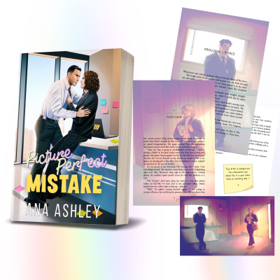 Picture Perfect Mistake - Illustrated Hardback edition