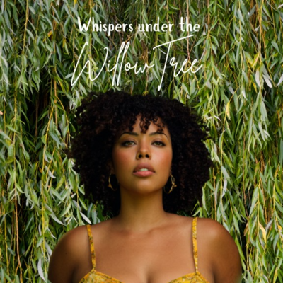 Whispers Under the Willow Tree