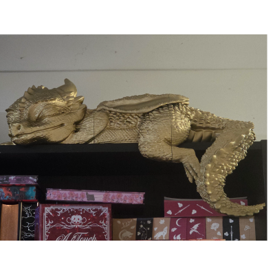 Giant Sleeping Baby Dragon