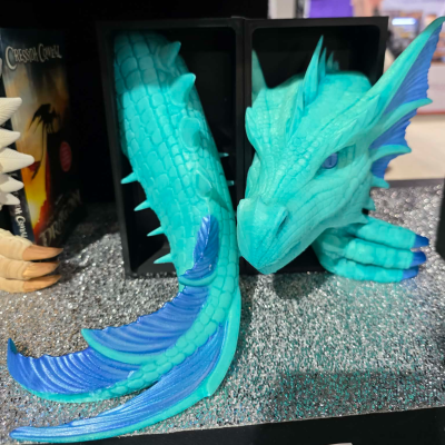 Sea Dragon Book Nook