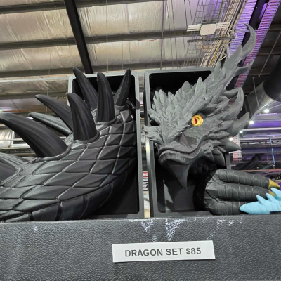 Spine Guard Dragon Book Nook