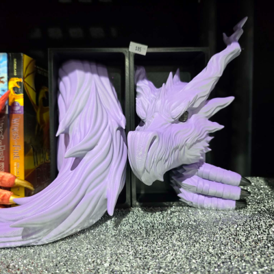 Shadow Dragon Book Nook