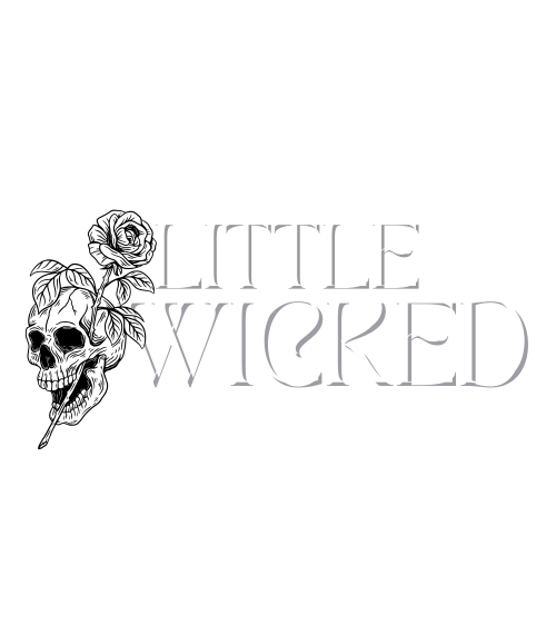 Little Wicked Book Box
